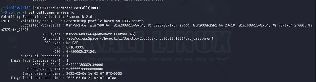 RTAF Cyber Operations Contest 2023 · catCall · 2