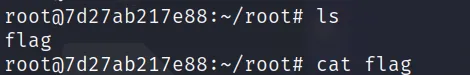 COC2023_3 · OS-Exploit · 76