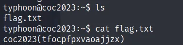 COC2023_4 · OS-Exploit · 19