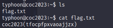 COC2023_4 · OS-Exploit · 19