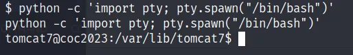 COC2023_4 · OS-Exploit · 44