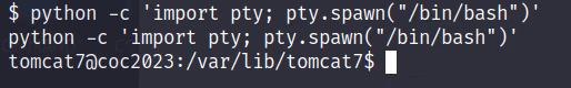 COC2023_4 · OS-Exploit · 44