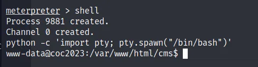 COC2023_4 · OS-Exploit · 66