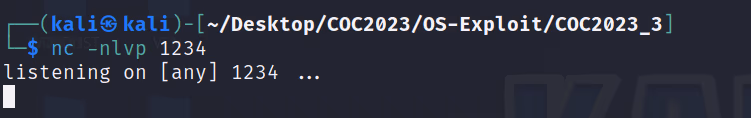 COC2023_3 · OS-Exploit · 22