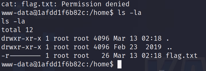 COC2023_3 · OS-Exploit · 25